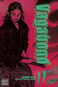 Vagabond, Vol. 11